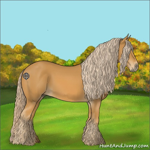 Horse Color:Palomino 