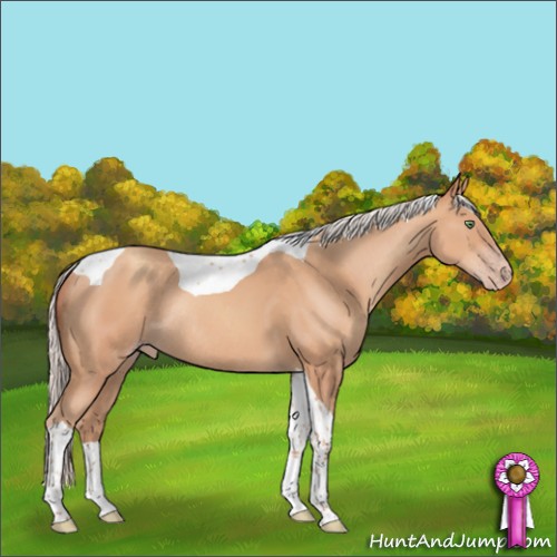 Horse Color:Silver Amber Champagne Tobiano Rabicano 