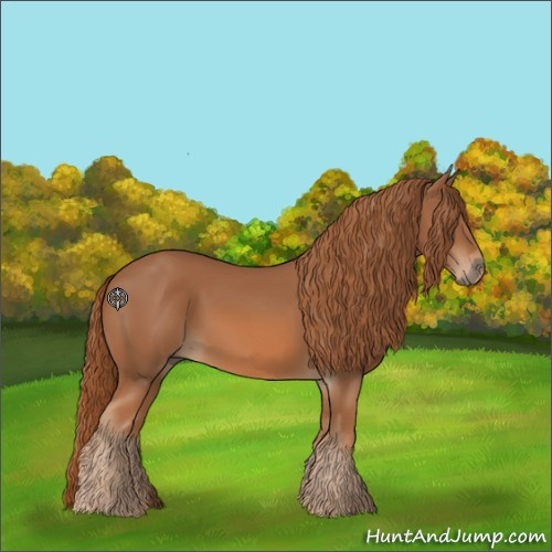 Horse Color:Chestnut 