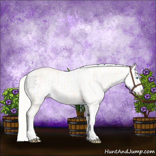 Horse Color:Cremello Dun Sabino Appaloosa  and Cremello Dun Sabino Appaloosa 