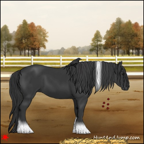Horse Color:Black Tobiano Rabicano