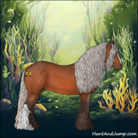 Horse Color:Silver Bay 