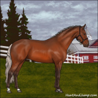 Horse Color:Silver Brown 