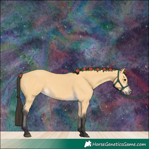 Horse Color:Buckskin 