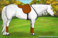 Horse Color:White Spotted Silver Grullo Near Fewspot Rabicano 