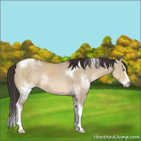Horse Color:White Spotted Sable Champagne Dun Splash Tobiano Rabicano 