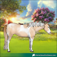 Horse Color:Bay Pearl Dun Sabino Splash Tobiano 