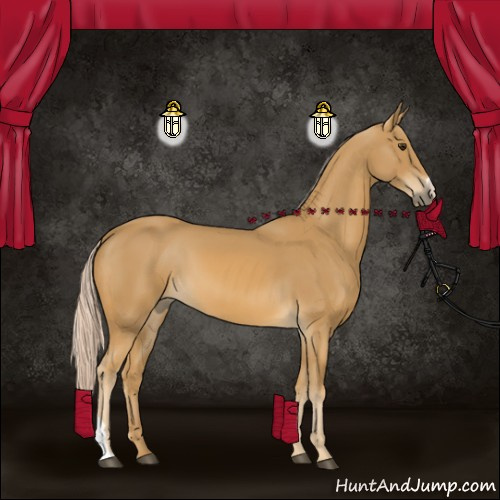Horse Color:Palomino 