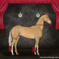 Horse Color:Palomino 