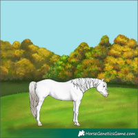 Horse Color:Liver Chestnut Ice Fewspot 
