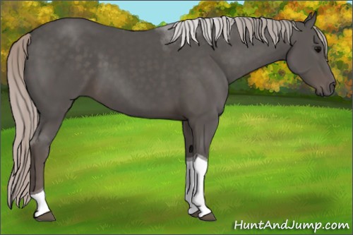 Horse Color:Silver Black Tobiano 
