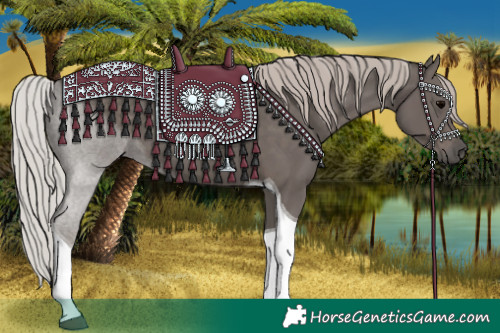 Horse Color:Silver Black Tobiano