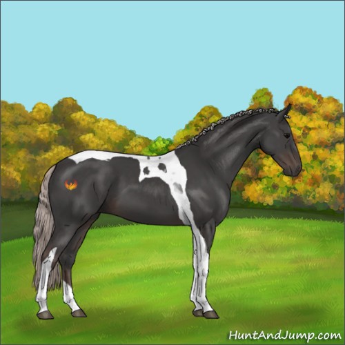 Horse Color:Silver Black Tobiano 