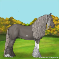 Horse Color:Silver Black Tobiano 