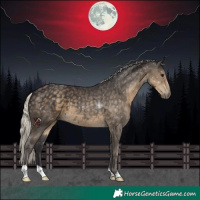 Horse Color:Silver Smoky Black 
