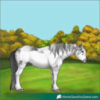 Horse Color:White Spotted Black Frame 