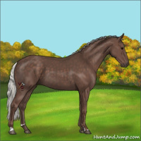Horse Color:Silver Black Sabino 