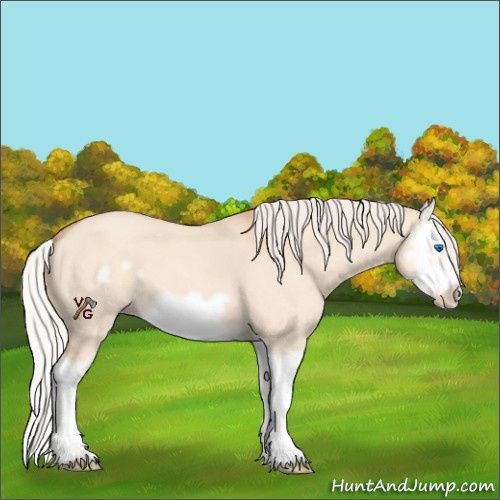 Horse Color:Silver Classic Champagne Dun Splash Frame