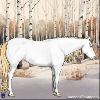 Horse Color:Buckskin Pearl Near Fewspot 