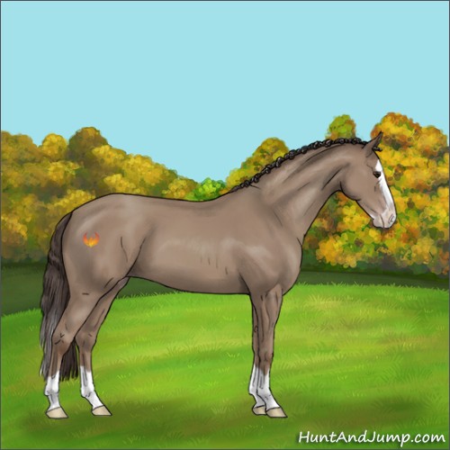 Horse Color:Classic Champagne Splash