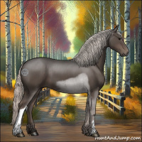 Horse Color:Silver Black 