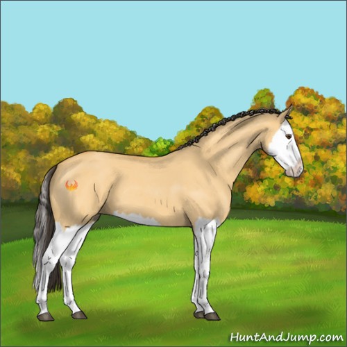 Horse Color:Buckskin Roan Dun Splash 