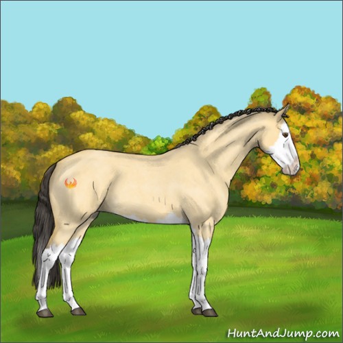 Horse Color:Buckskin Roan Dun Splash 