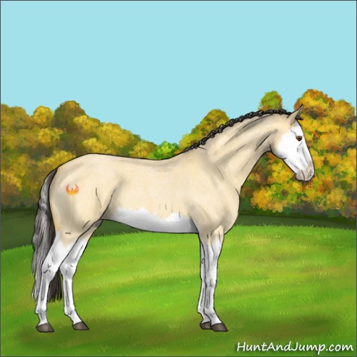 Horse Color:Buckskin Roan Dun Splash 