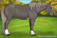 Horse Color:Silver Black Tobiano 