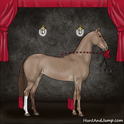 Horse Color:Liver Red Dun Roan 