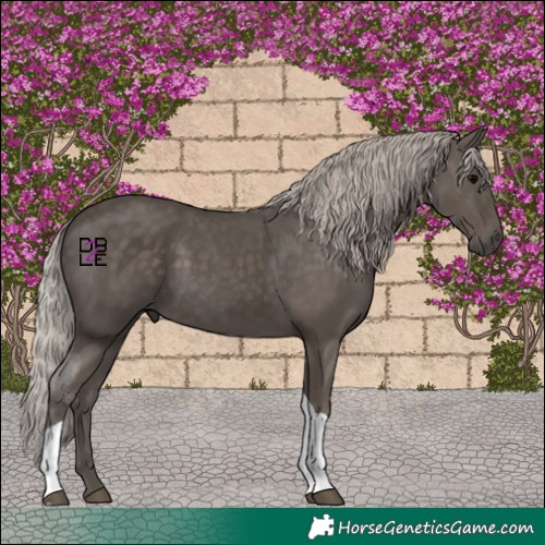 Horse Color:Silver Black Tobiano 