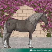 Horse Color:Silver Black Tobiano 