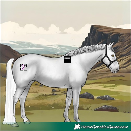 Horse Color:Gray Amber Champagne Sabino Tobiano Appaloosa  and Gray Amber Champagne Sabino Tobiano Appaloosa 