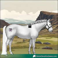 Horse Color:Gray Amber Champagne Sabino Tobiano Appaloosa  and Gray Amber Champagne Sabino Tobiano Appaloosa 