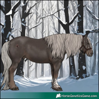 Horse Color:Silver Black Tobiano