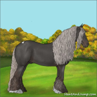 Horse Color:Silver Black Tobiano