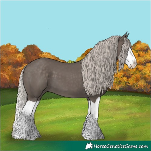 Horse Color:Silver Black Splash