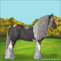 Horse Color:Silver Black Tobiano