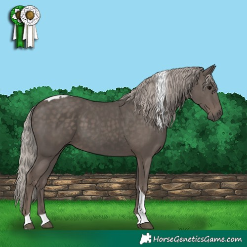 Horse Color:Silver Black Tobiano 