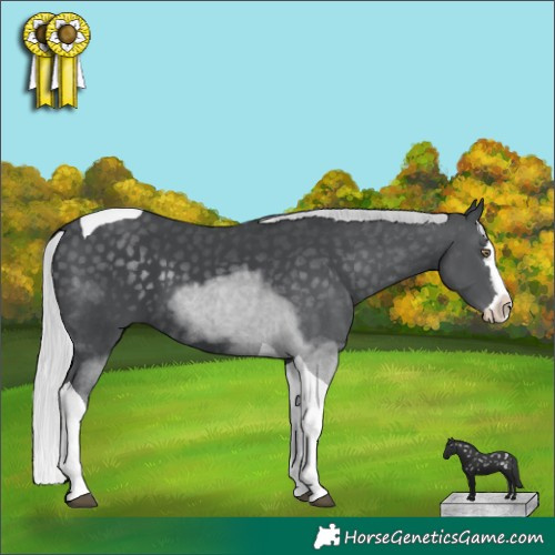 Horse Color:Silver Black Chinchilla Splash Tobiano 
