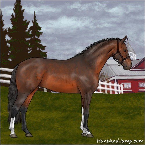 Horse Color:Brown Tobiano 