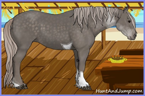 Horse Color:Silver Black Tobiano