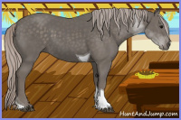Horse Color:Silver Black Tobiano
