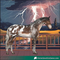 Horse Color:Liver Chestnut Mushroom Tobiano Blanket 
