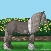 Horse Color:Silver Black Tobiano 