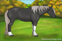 Horse Color:Silver Black Tobiano