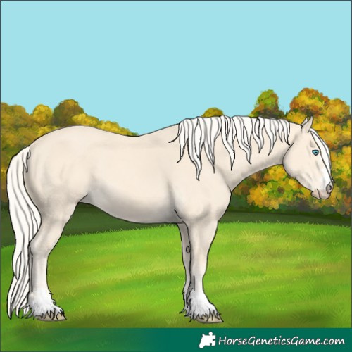 Horse Color:Cremello 