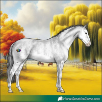 Horse Color:White Spotted Smoky Blue Roan Splash Rabicano