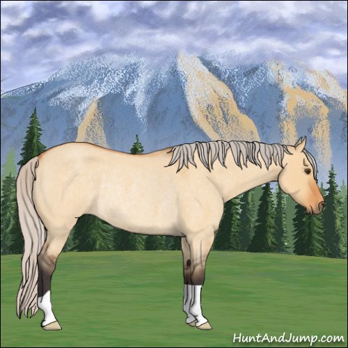 Horse Color:Silver Buckskin Roan Dun Rabicano 