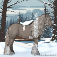 Horse Color:Silver Grullo Tobiano 